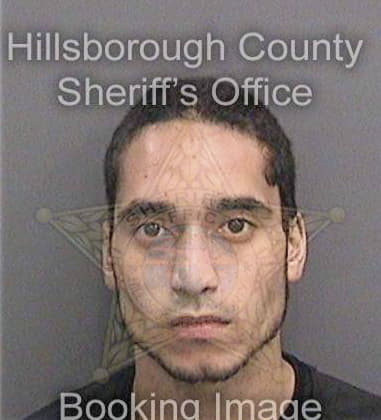 Michael Hanks, - Hillsborough County, FL 