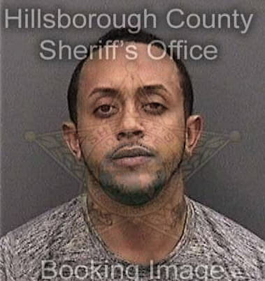 Demario Henry - Hillsborough County, FL 