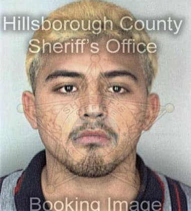 Alfredo Hernandez - Hillsborough County, FL 