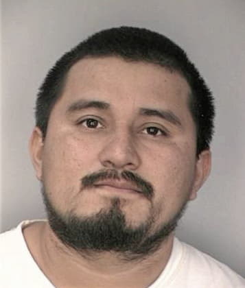 Oscar Jonquitudsanchez, - Hillsborough County, FL 