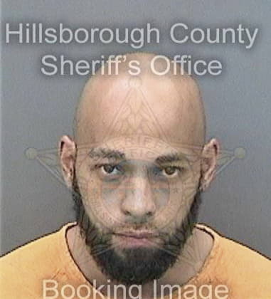 Elmer McGuirt - Hillsborough County, FL 
