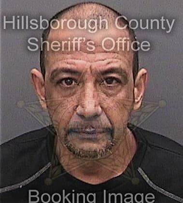 Ahmed Moamar, - Hillsborough County, FL 