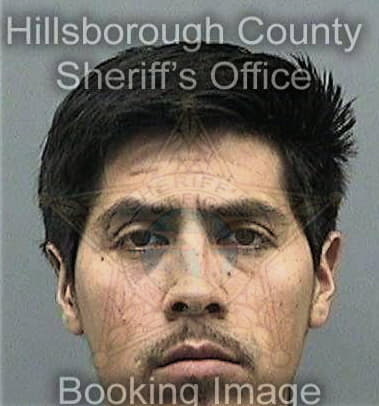 Abel Villanuevahidalgo, - Hillsborough County, FL 