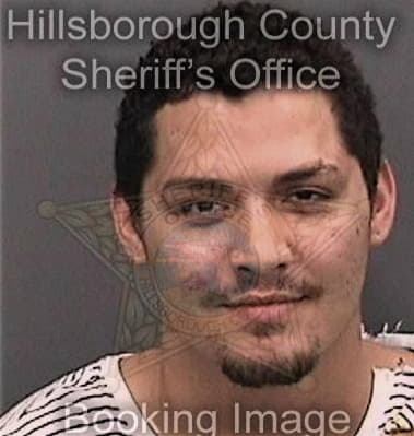 Christopher Celis, - Hillsborough County, FL 