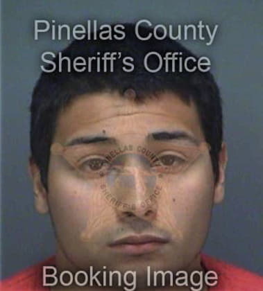 Albaro Delvalle, - Pinellas County, FL 