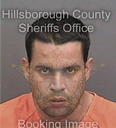 Michael Gaias, - Hillsborough County, FL 