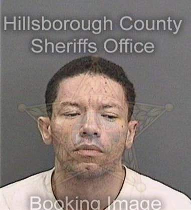 Dion Garrett, - Hillsborough County, FL 