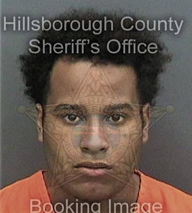 Daniel Harvill, - Hillsborough County, FL 