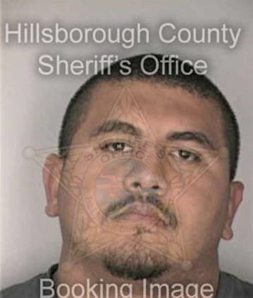 Andres Jimenezjimenez, - Hillsborough County, FL 