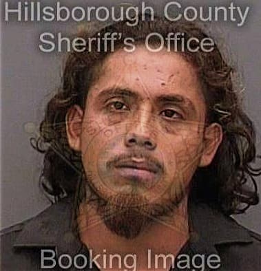 Carl McCleese - Hillsborough County, FL 