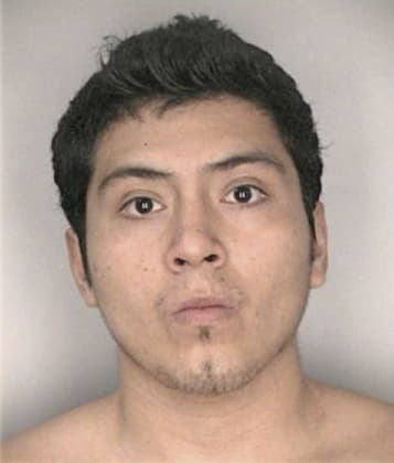 Alberto Medina - Hillsborough County, FL 