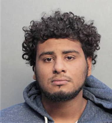 Roman Ortega-Castillo, - Dade County, FL 