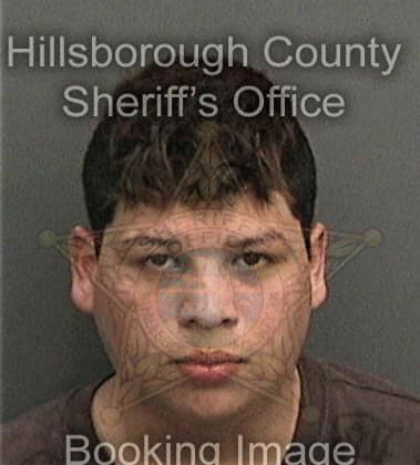 Michael Purvis, - Hillsborough County, FL 