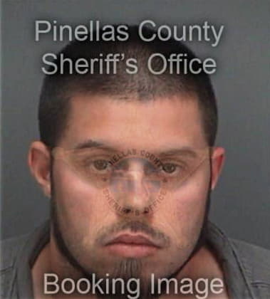 Joshua Alltop, - Pinellas County, FL 