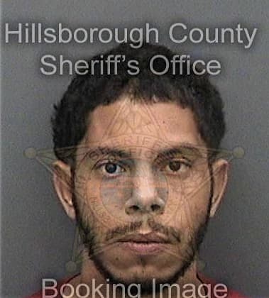 Eduardo Diazsoler, - Hillsborough County, FL 