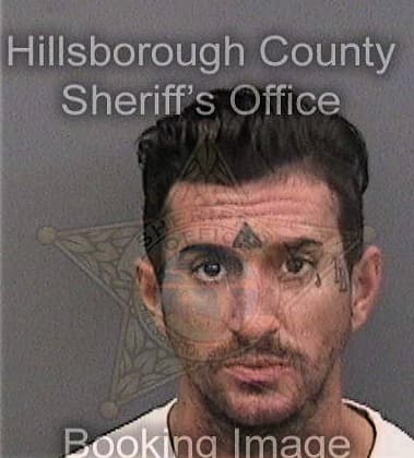 Chadwich Haynes, - Hillsborough County, FL 