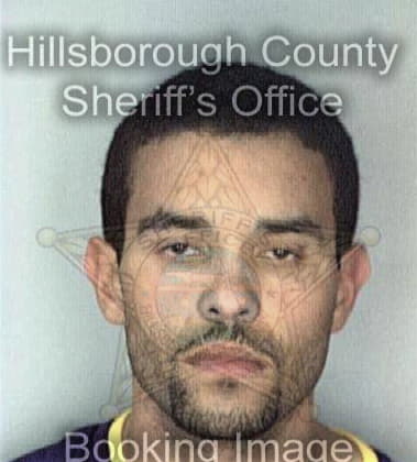 Agustin Hernandez - Hillsborough County, FL 
