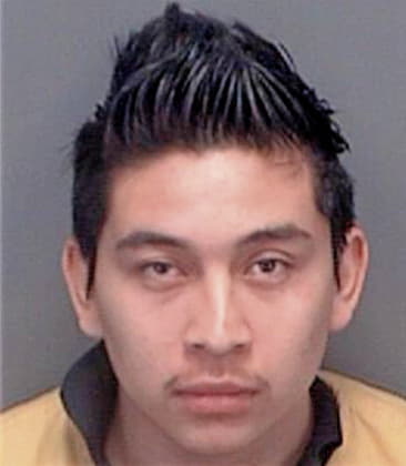 Lorenzo Navarrete, - Pinellas County, FL 