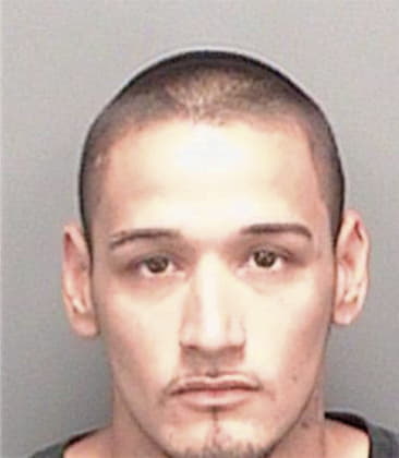 Octavio Portocarrero-Guapi, - Pinellas County, FL 