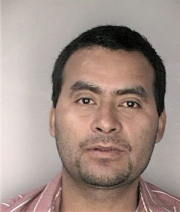 Victor Riosayala, - Hillsborough County, FL 