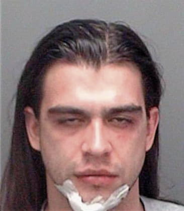 Michael McLean - Pinellas County, FL 