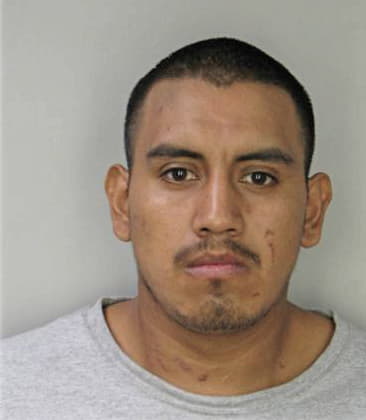 Willis Menendez - Hillsborough County, FL 