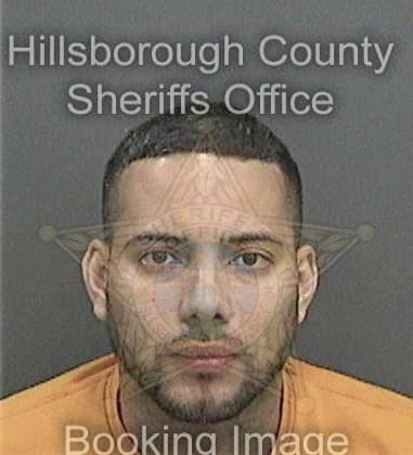 Gary Sheets, - Hillsborough County, FL 