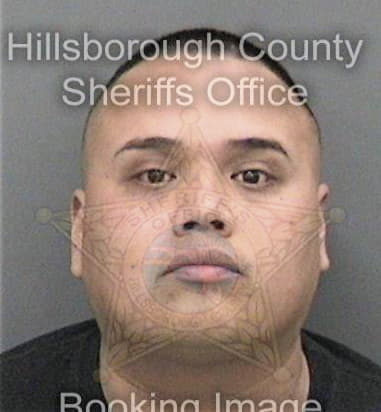 Alex Telon-Mendez, - Hillsborough County, FL 