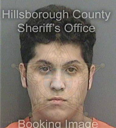 Michael Wally, - Hillsborough County, FL 