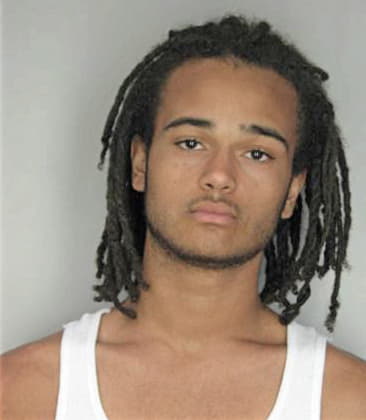 Martis Cochran - Hillsborough County, FL 