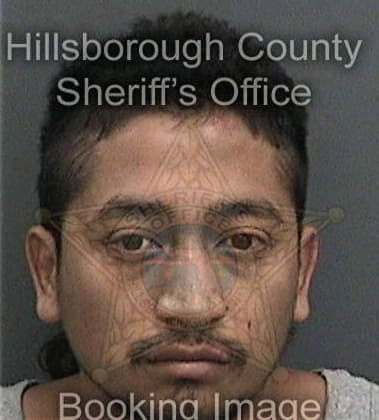 Michael Heben, - Hillsborough County, FL 