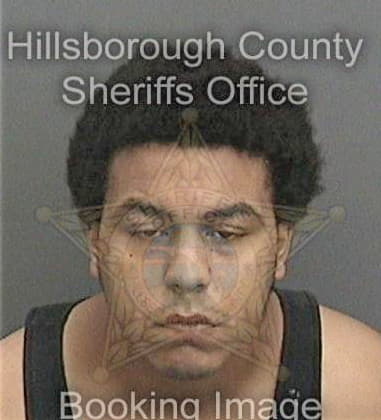 Jose Milletlopez - Hillsborough County, FL 