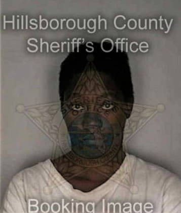 Devon Mitchell - Hillsborough County, FL 