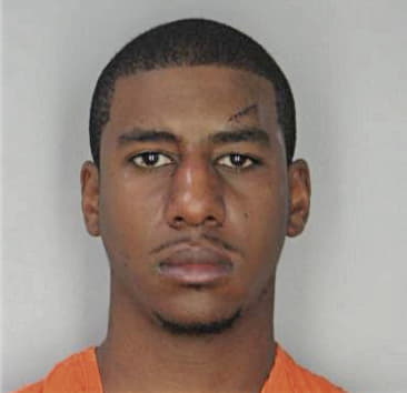 Steven Mitchell - Hillsborough County, FL 