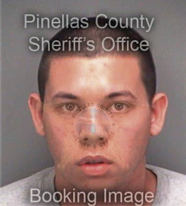 Michael Phongvichith, - Pinellas County, FL 