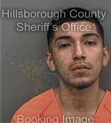 Bernardo Sancheztoledo, - Hillsborough County, FL 