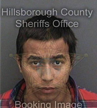 Kevin Williams, - Hillsborough County, FL 