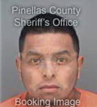 Fidel Aguilar-Castano, - Pinellas County, FL 