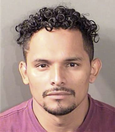 Enrique Davila-Reyes, - Denton County, TX 