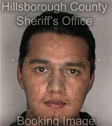 Erick Giron, - Hillsborough County, FL 