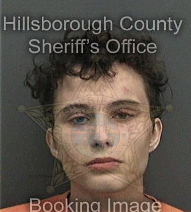 Michael Henriquez - Hillsborough County, FL 
