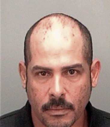 Arturo Olguinrufino, - Pinellas County, FL 