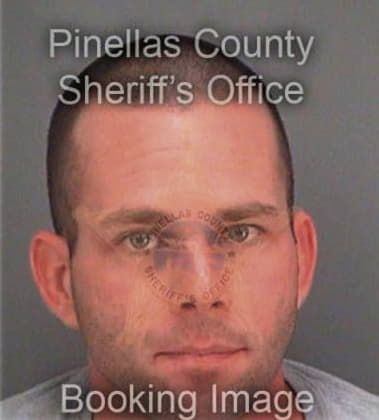 Nenad Pavlenic, - Pinellas County, FL 