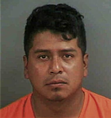 Miguel Arango, - Collier County, FL 