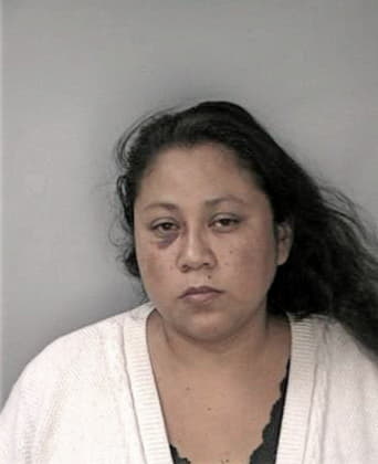 Martha Arellano, - Hillsborough County, FL 