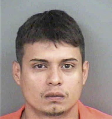 Steven Guerra, - Collier County, FL 