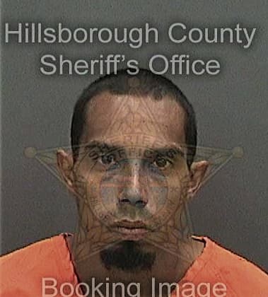 Paul John, - Hillsborough County, FL 