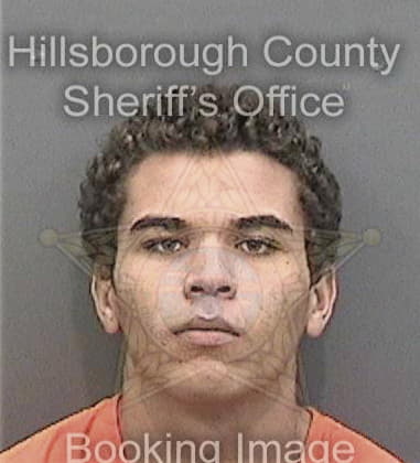 Javaris Manning, - Hillsborough County, FL 