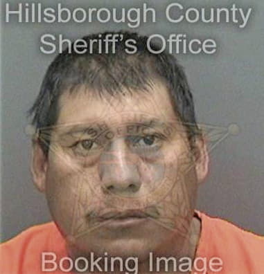 Genaldo Mercado - Hillsborough County, FL 