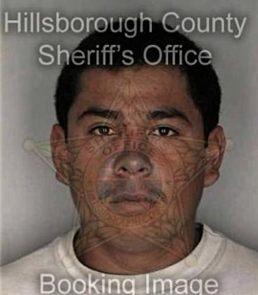 Carlos Salinas, - Hillsborough County, FL 